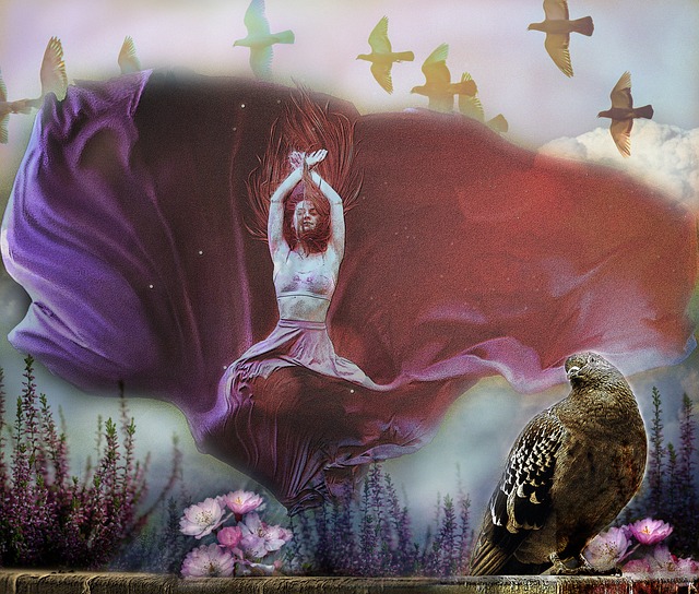 球队数量有 球队数量有