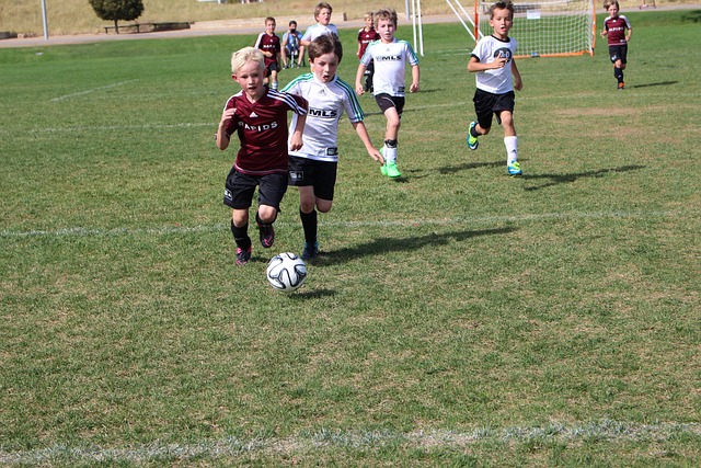 置上絲毫不 置上絲毫不