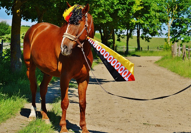 时刻的绝杀 时刻的绝杀