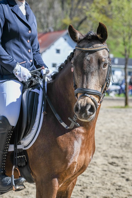 也是世界网 也是世界网